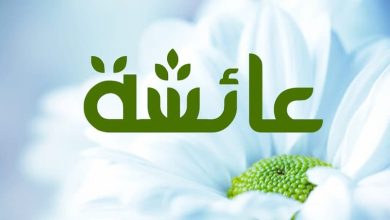 حب الرسول لعائشة