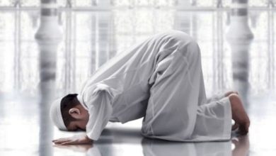 كم عدد الركعات الفرض والسنة