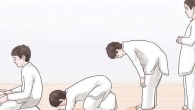 كيفية صلاة الوتر