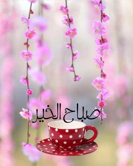 عبارات صباح الخير للأصدقاء 