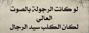 أجمل ما قيل في الأمثال السعودية