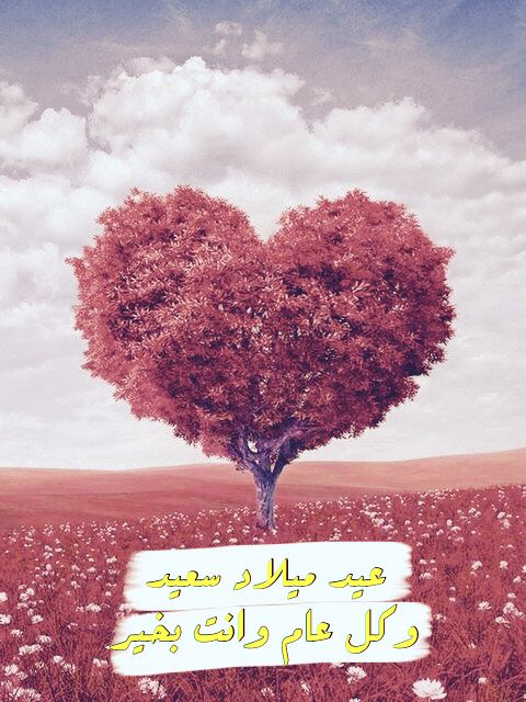 اجمل كلام لصديقتي في عيد ميلادها