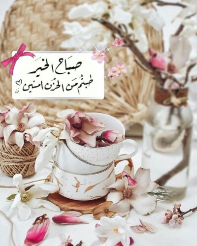 عبارات جميلة عن الحياة