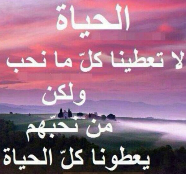 عبارات جميلة عن الحياة