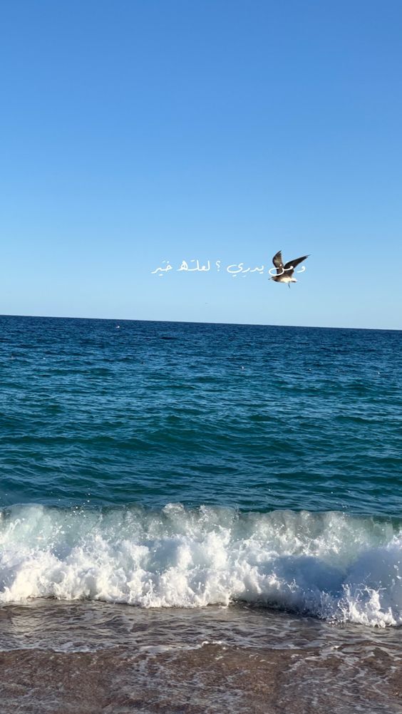 عبارات عن البحر