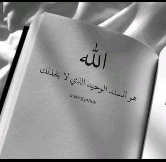 عبارات عن السند والعزوه تويتر