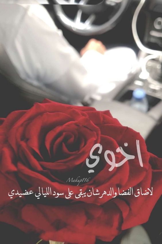 كلام عن أخي سندي تويتر 