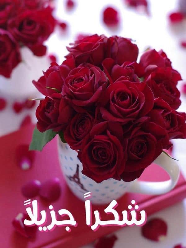 كلمات شكر نادرة