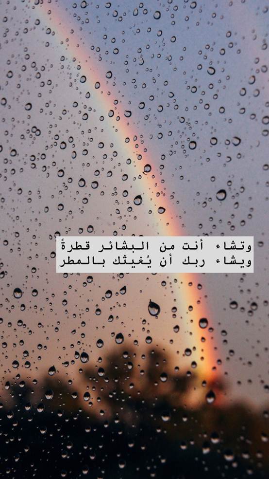 عبارات مطر تويتر