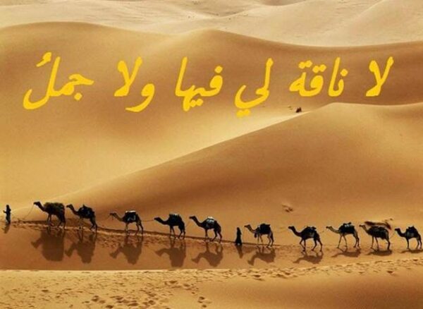 حكم سعودية شعبية