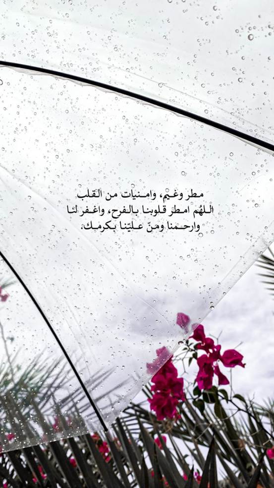 عبارات مطر تويتر