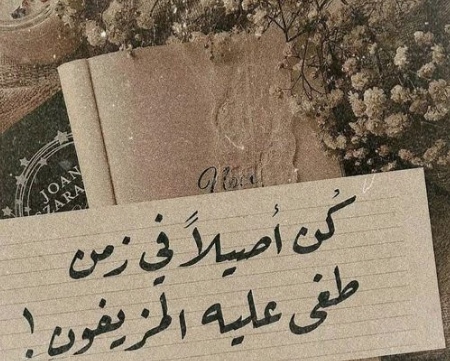 عبارات عن اكتشاف الناس 
