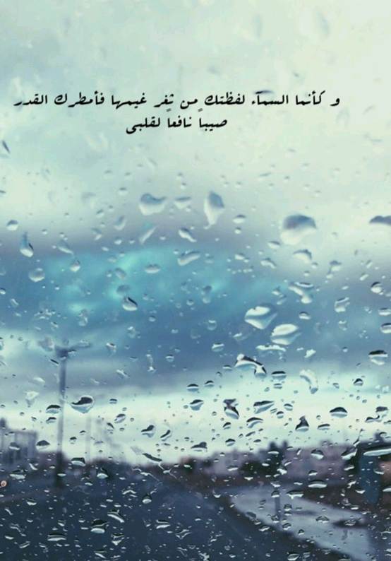 عبارات مطر تويتر