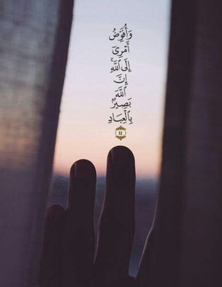 تحميل حالات واتساب وأفوض أمري إلى الله