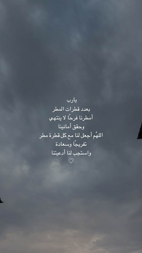 عبارات مطر تويتر