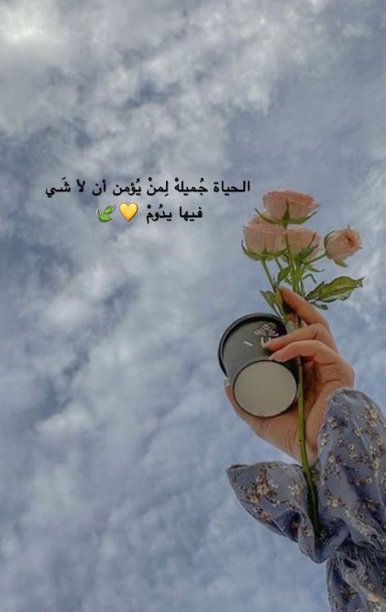 عبارات فخمة انستا