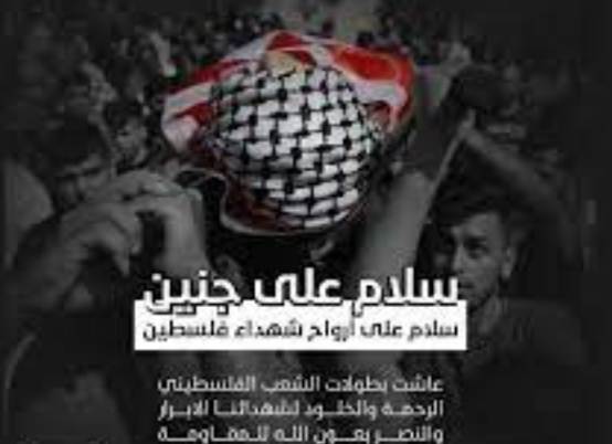 عبارات عن مدينة جنين تويتر