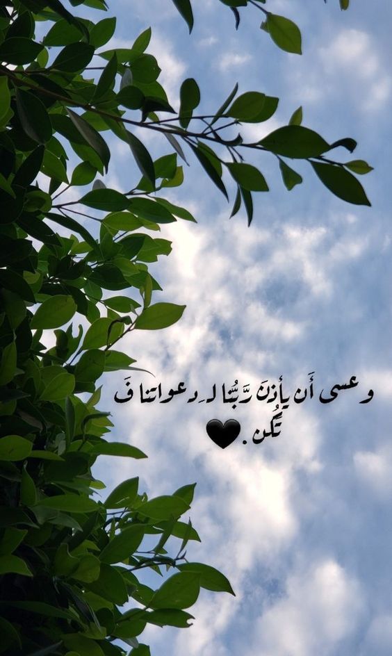 عبارات فخمة انستا