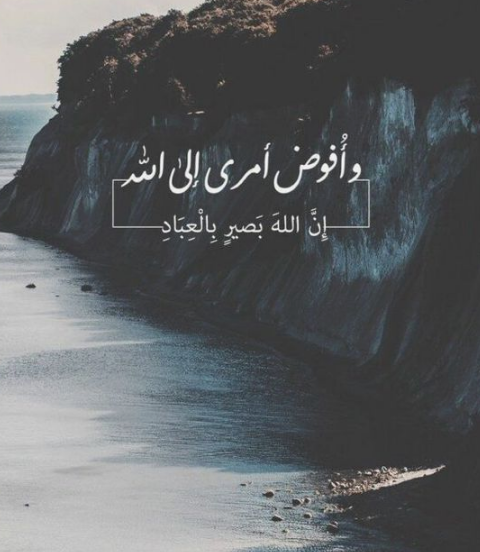 تحميل حالات واتساب وأفوض أمري إلى الله
