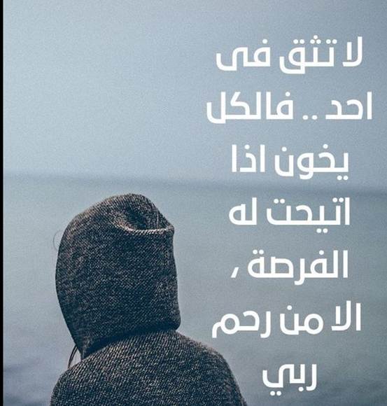 بوستات عن الصحاب الاندال