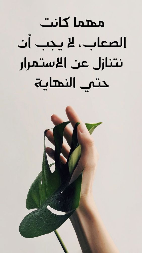 حكم عن فهم الحياة للإذاعة المدرسية 2025