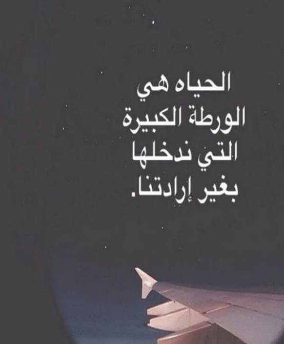 حالات واتس مميزة ونادرة